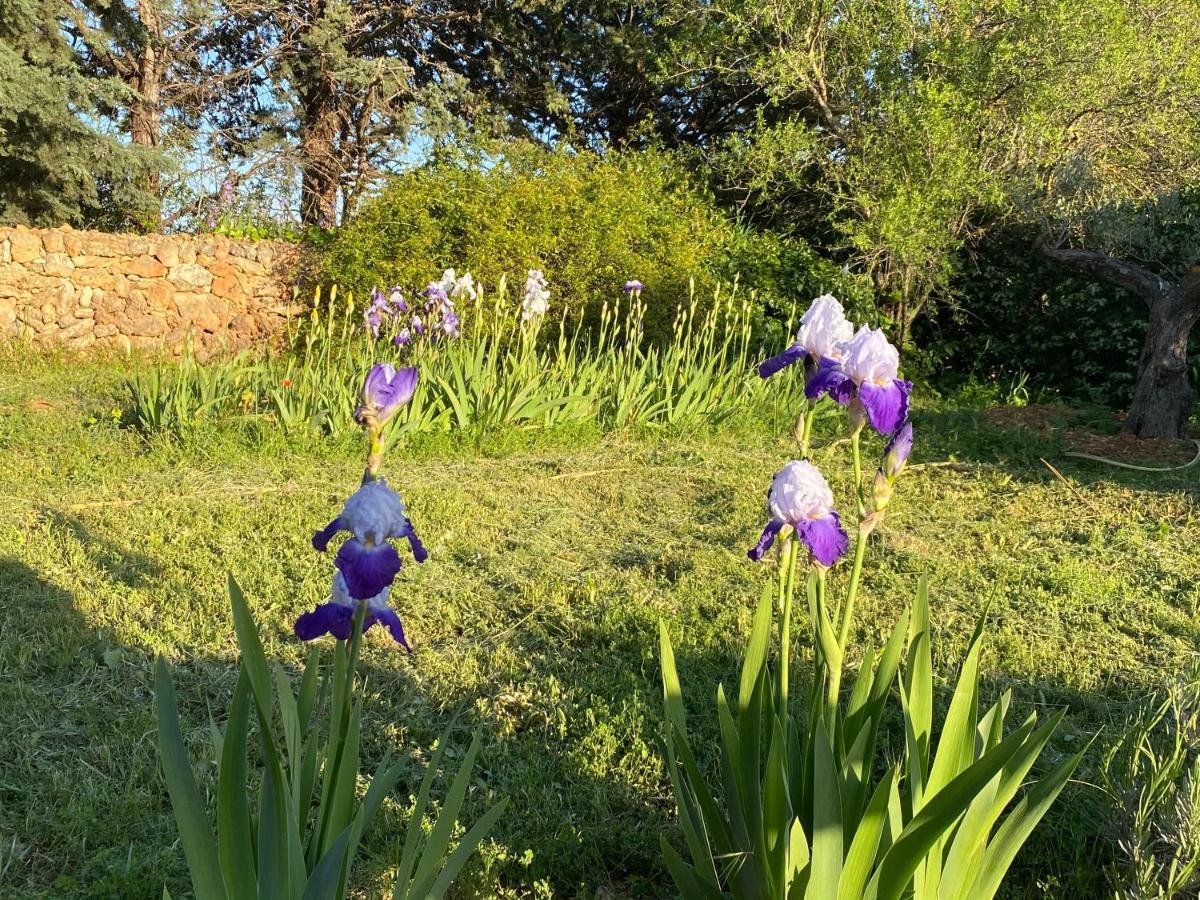 Villa Faro Provence Var Montfort-sur-Argens Bagian luar foto