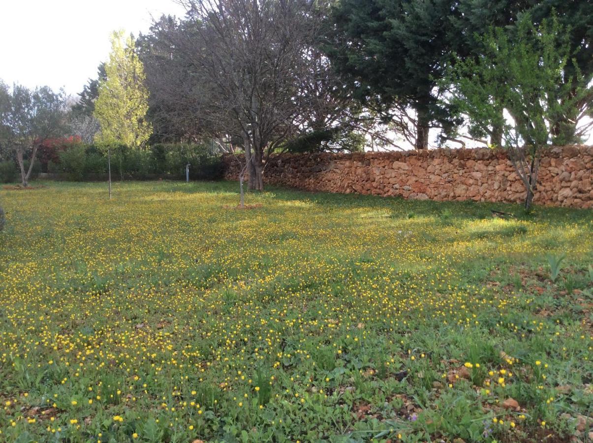 Villa Faro Provence Var Montfort-sur-Argens Bagian luar foto